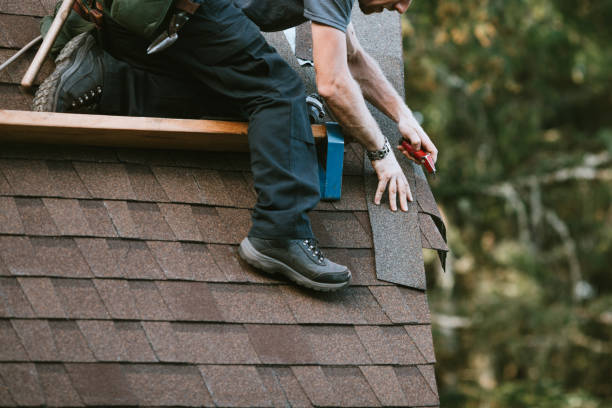 Best Roof Gutter Cleaning  in Buchanan Dam, TX